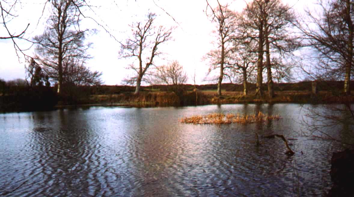 pond